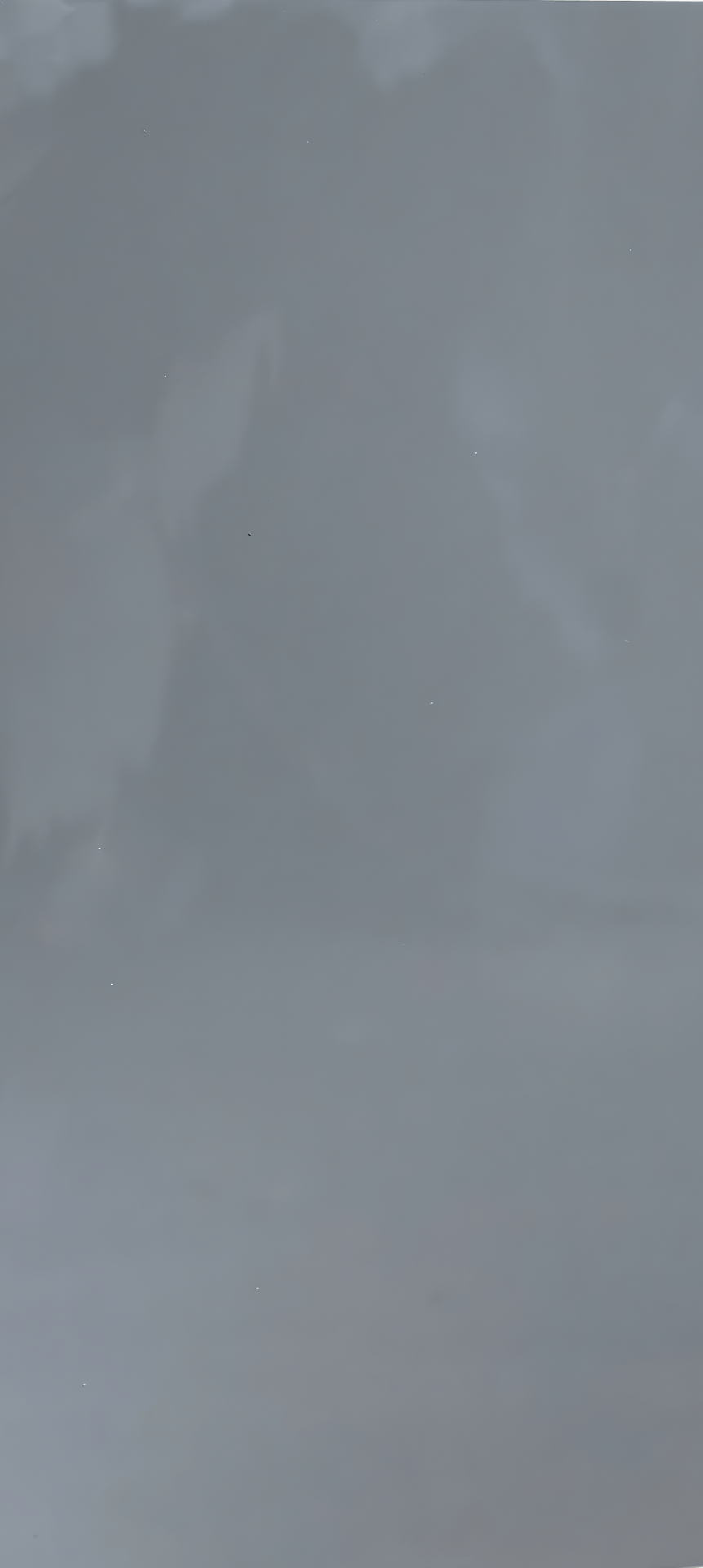 TẤM THAN TRE 17mm SK017